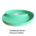 Waterproof Webbing - Caribbean Green